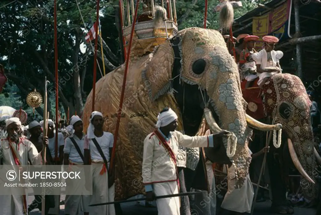 Sri Lanka, Kandy, Perahera Annual Festival Procession And The Great Elephant Parade