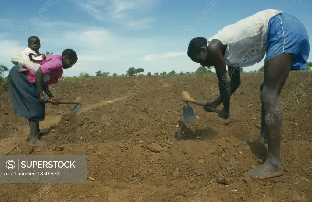 Malawi, Near Lilongwe, Single Child Family Working In The Field