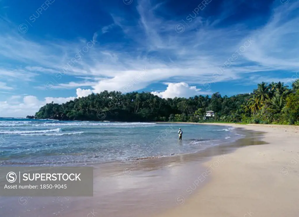 Sri Lanka, Pallikkudawa, Quiet Sandy Beach Fringed With Palm Trees On The South Coast With Fisherman Standing In Shallow Water At Shoreline And Building Amongst Trees Behind.