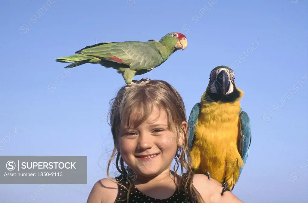Usa, Florida, Fort Lauderdale, Portrait Of A Young Girl With Yellow And Blue Parrot On Her Shoulder And A Green And Red Paroquet On Her Head