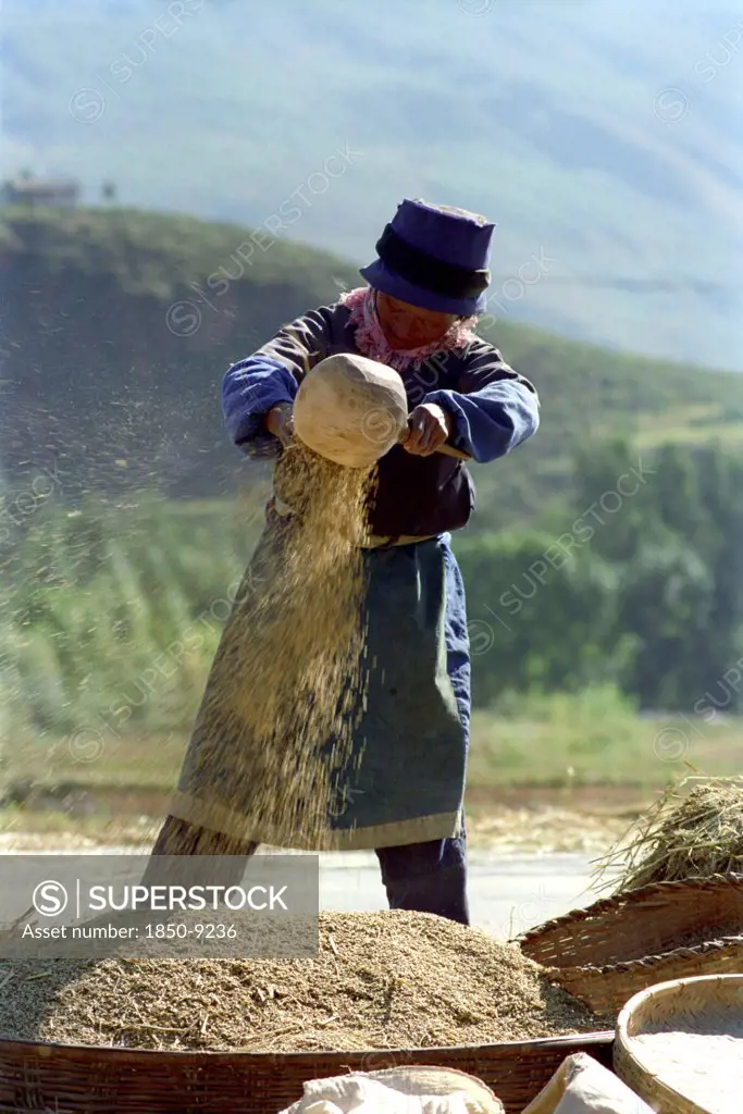 China, Yunnan, Lijiang, Woman Pouring Grain That She Has Ground In A Ceramic Dish