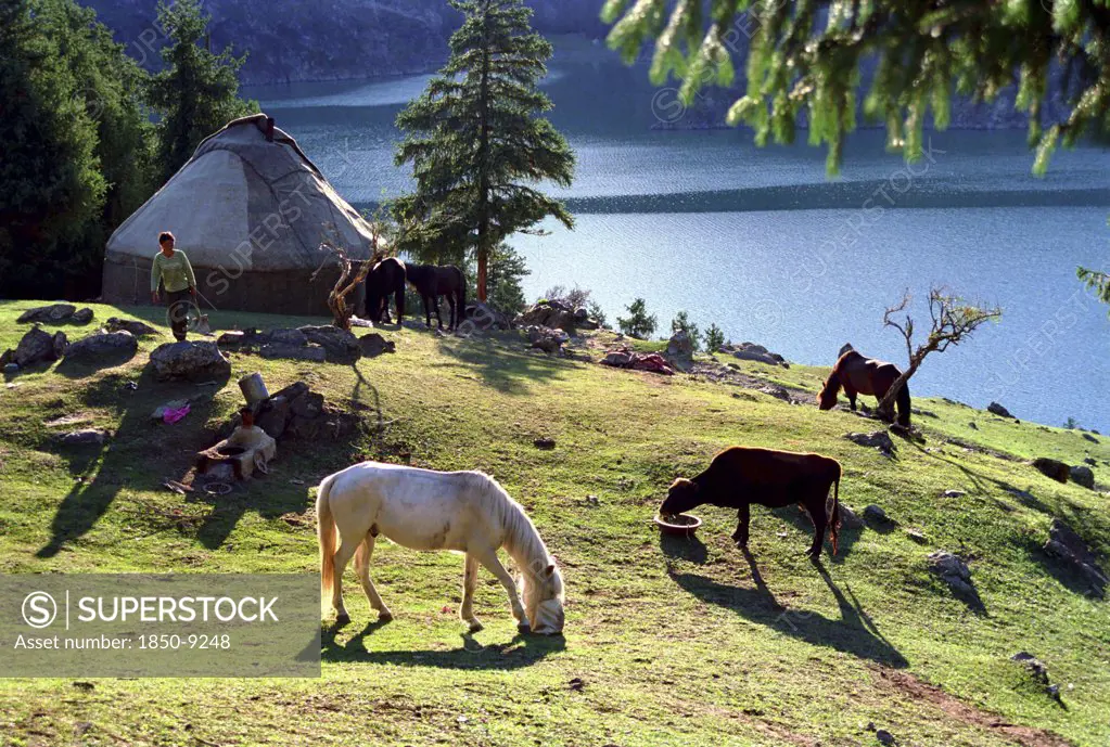 China, Xinjiang, Tianchi, Heavenly Lake. Grazing Horses And Cow Near A Yurt At The Lakeside
