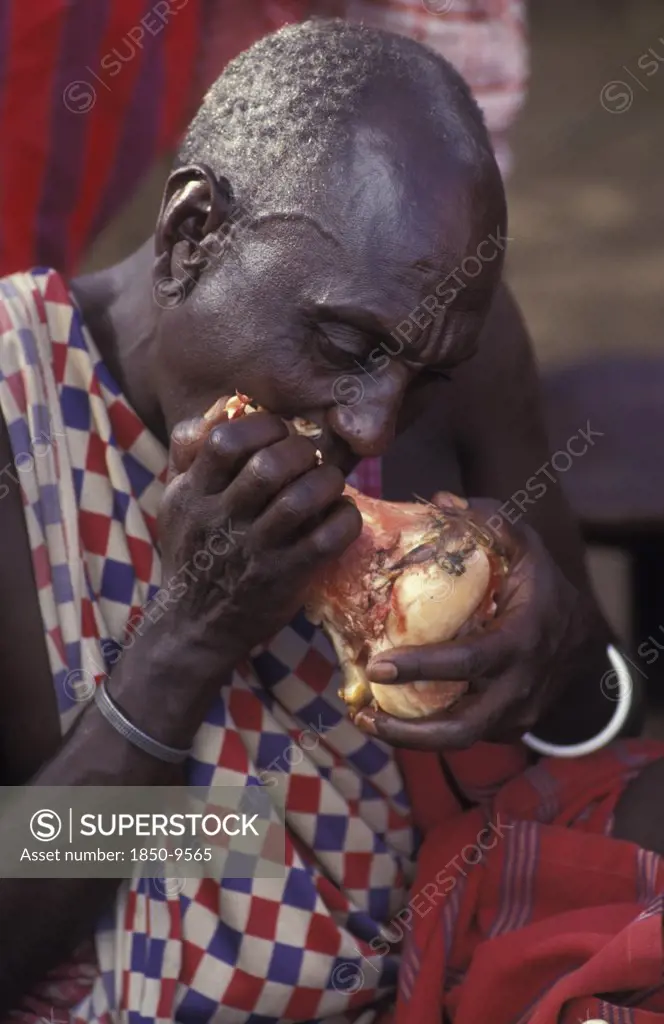 Kenya, , A Maasai Elder Bites Into A Large Beef Bone During An Initiation Ceremony  Which Brings The Maasai Moran Or Young Warriors Into Manhood. The Maasai Diet Consists Almost Entirely Of Meat Blood And Milk.