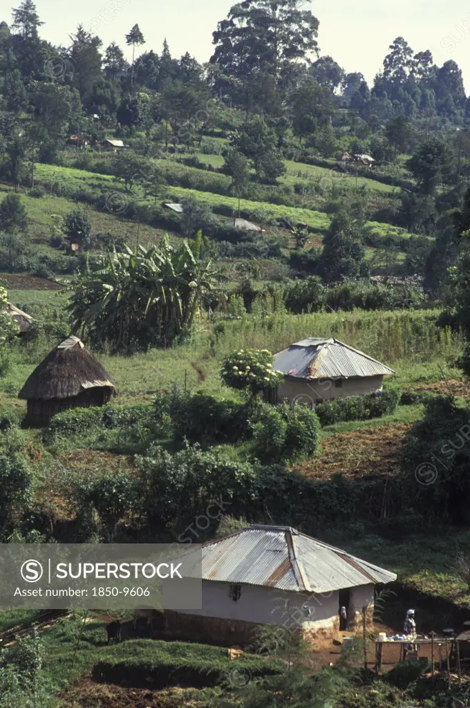 Kenya, Near Eldoret, Shamba Or Farms In The Hills