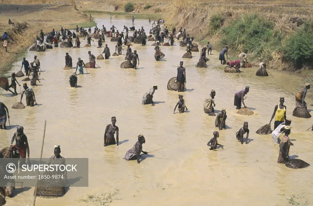 Sudan, Bahr Al Ghazal, Dinka Tribe Fishing With Nets And Spears In Shallow River.