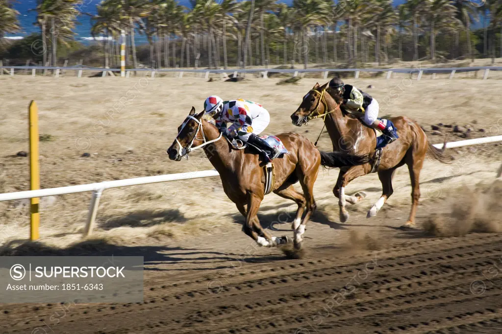 Horse Racing at Nevis