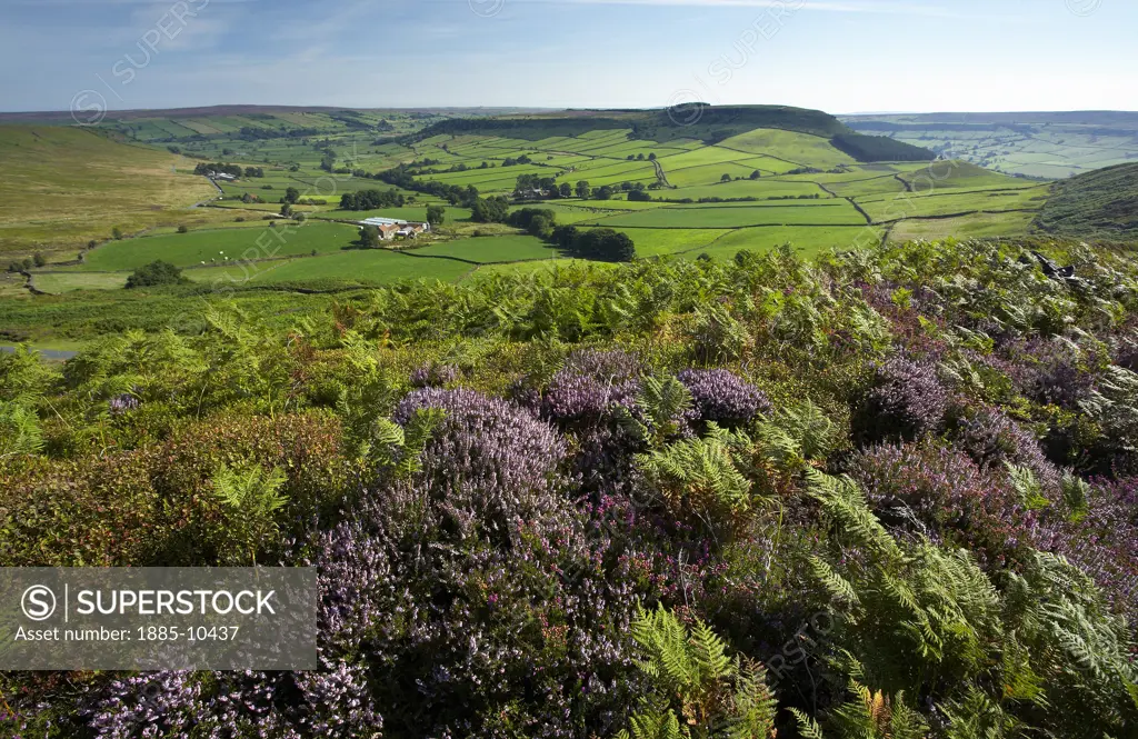 UK - England, Yorkshire, Little Fryupdale, View over the North York Moors