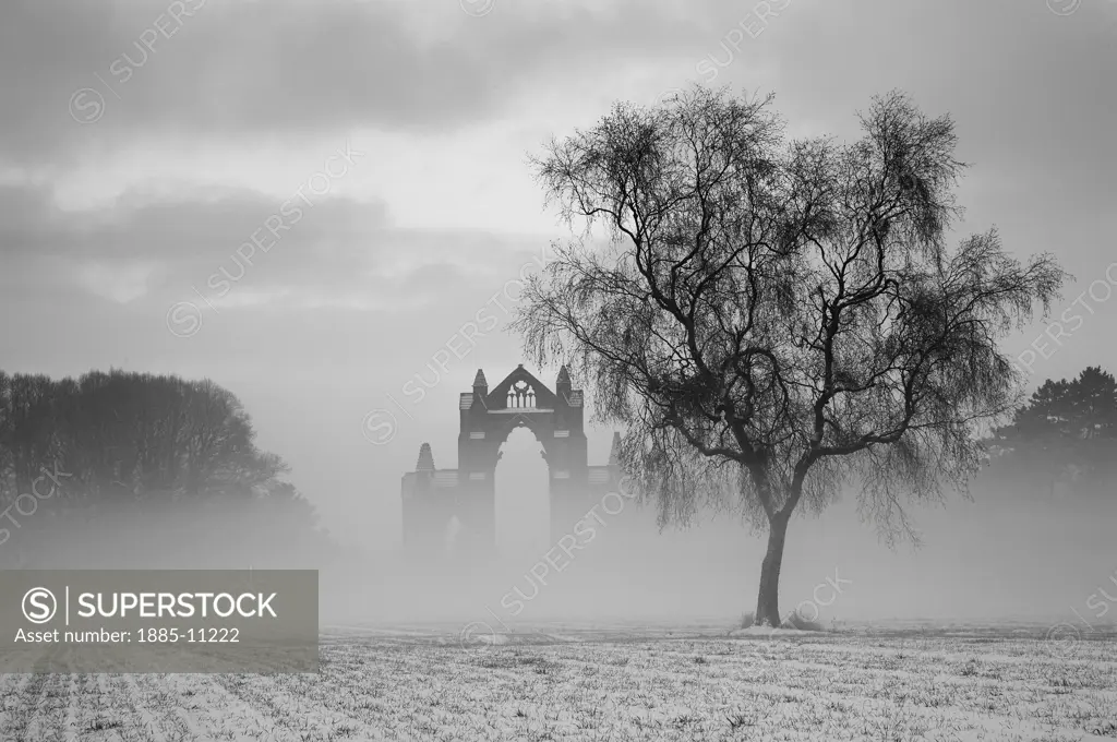 UK - England, Cleveland, Guisborough, Misty winter scene at Gisborough Priory 