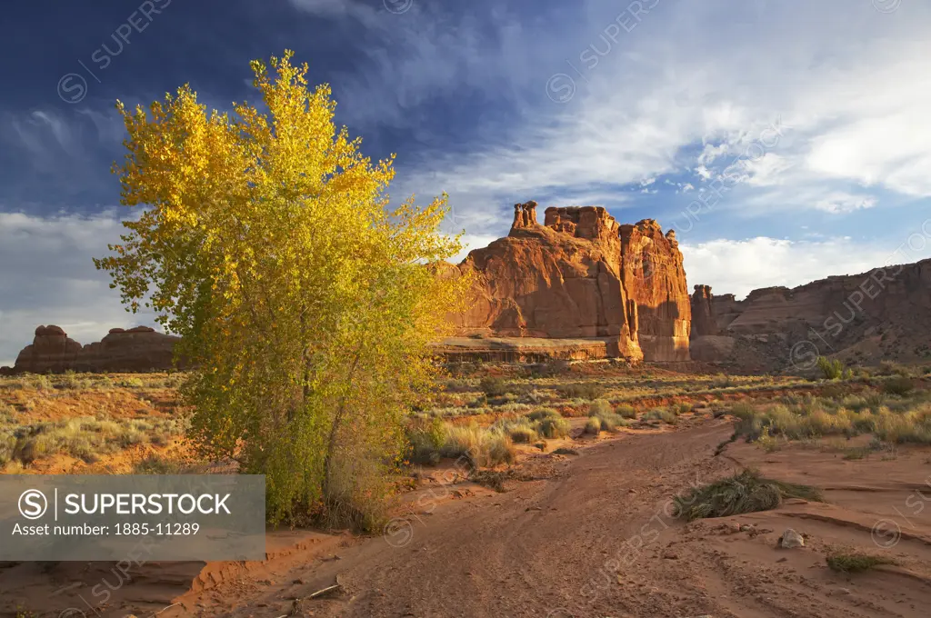 USA, Utah, Arches National Park, The Tower of Babel rock formations with golden tree