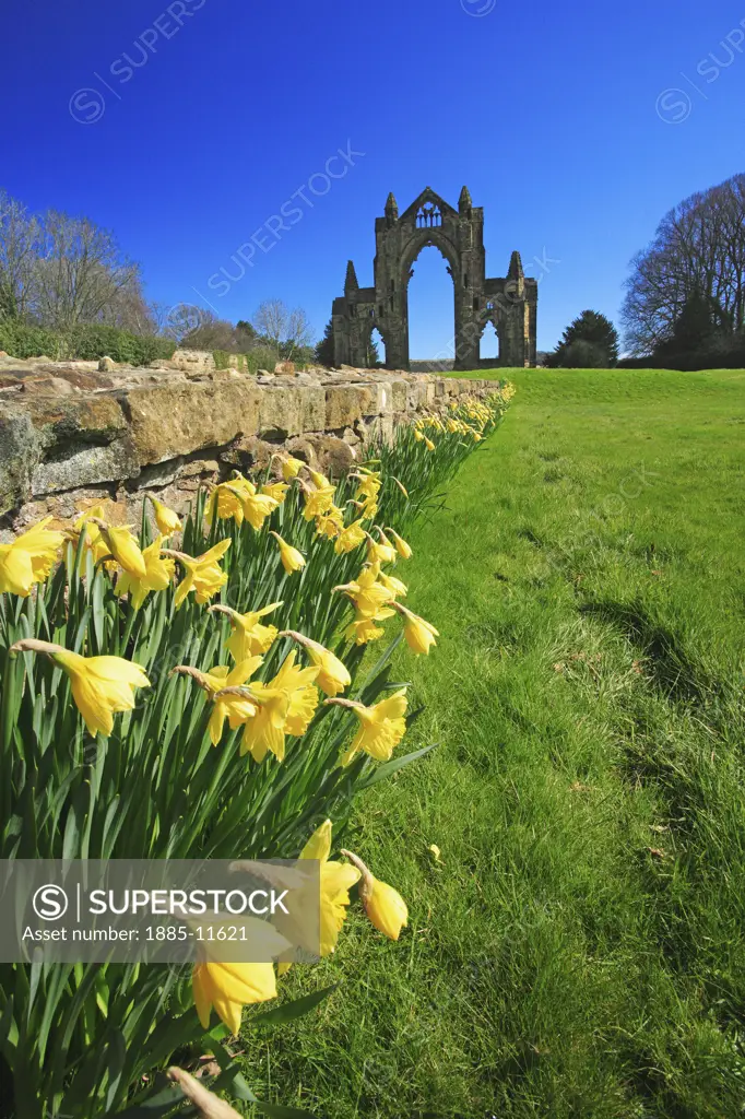 UK - England, Cleveland, Guisborough, Gisborough Priory in springtime