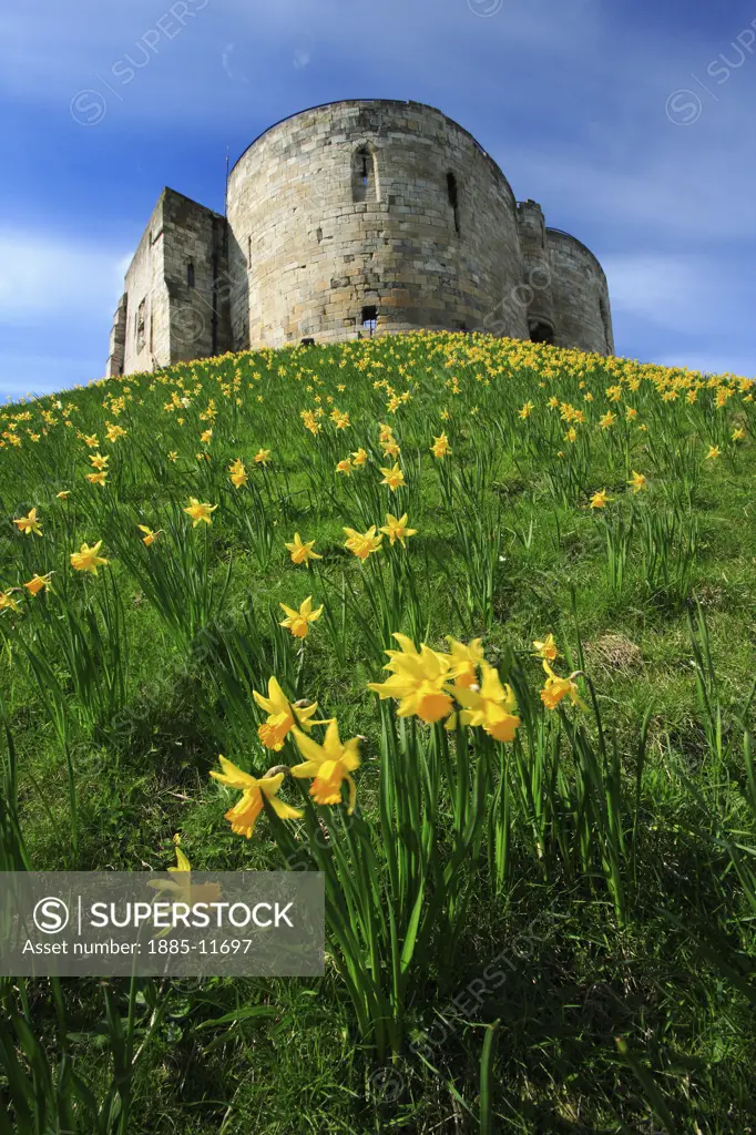 UK - England, Yorkshire, York, Clifford's Tower in springtime