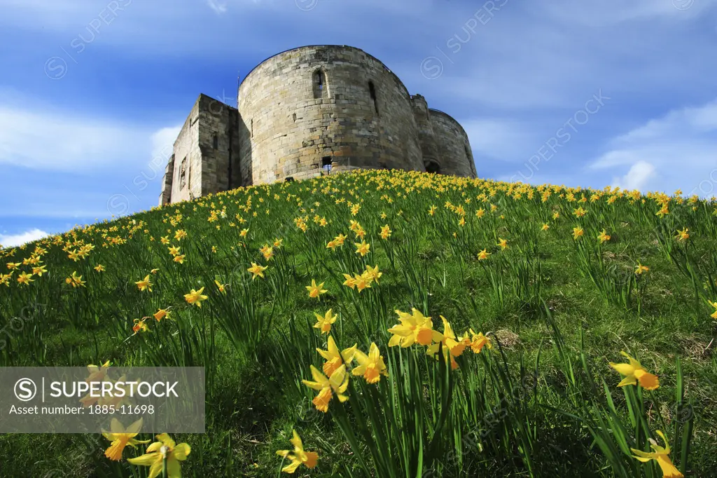 UK - England, Yorkshire, York, Clifford's Tower in springtime