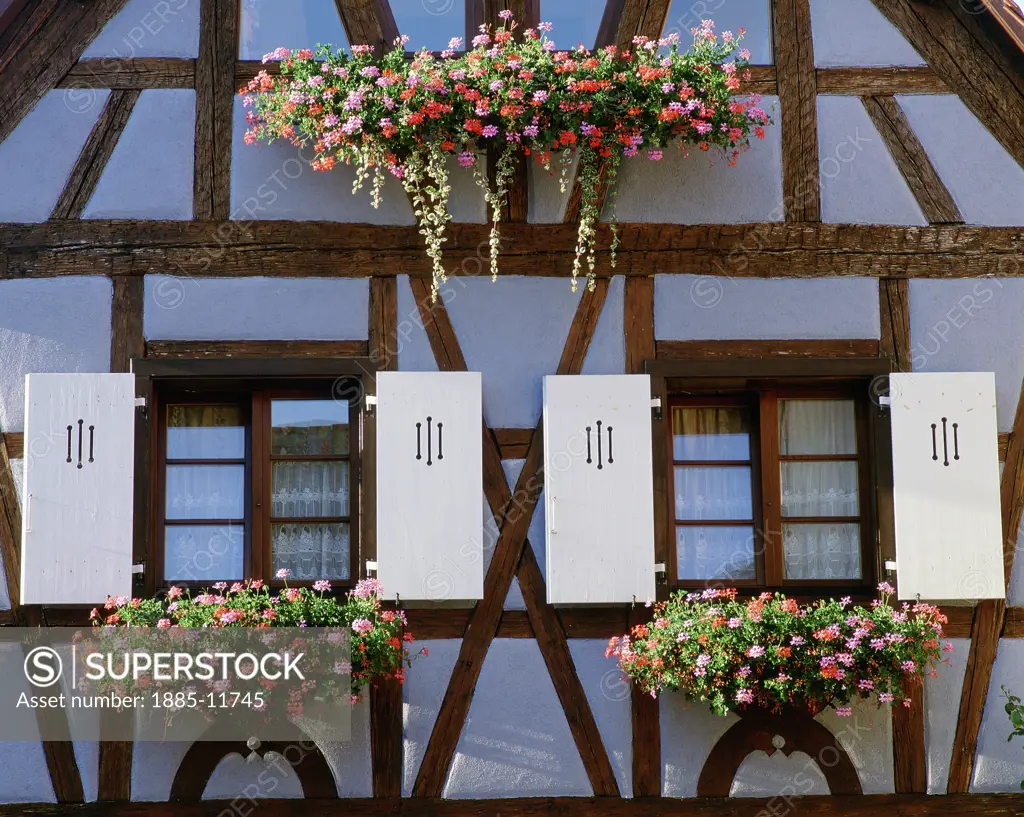 France, Alsace, Eguisheim, Half timbered house with window boxes