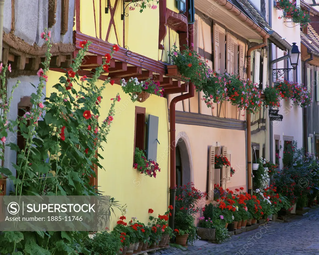 France, Alsace, Eguisheim, View along Rue des Remparts in summertime