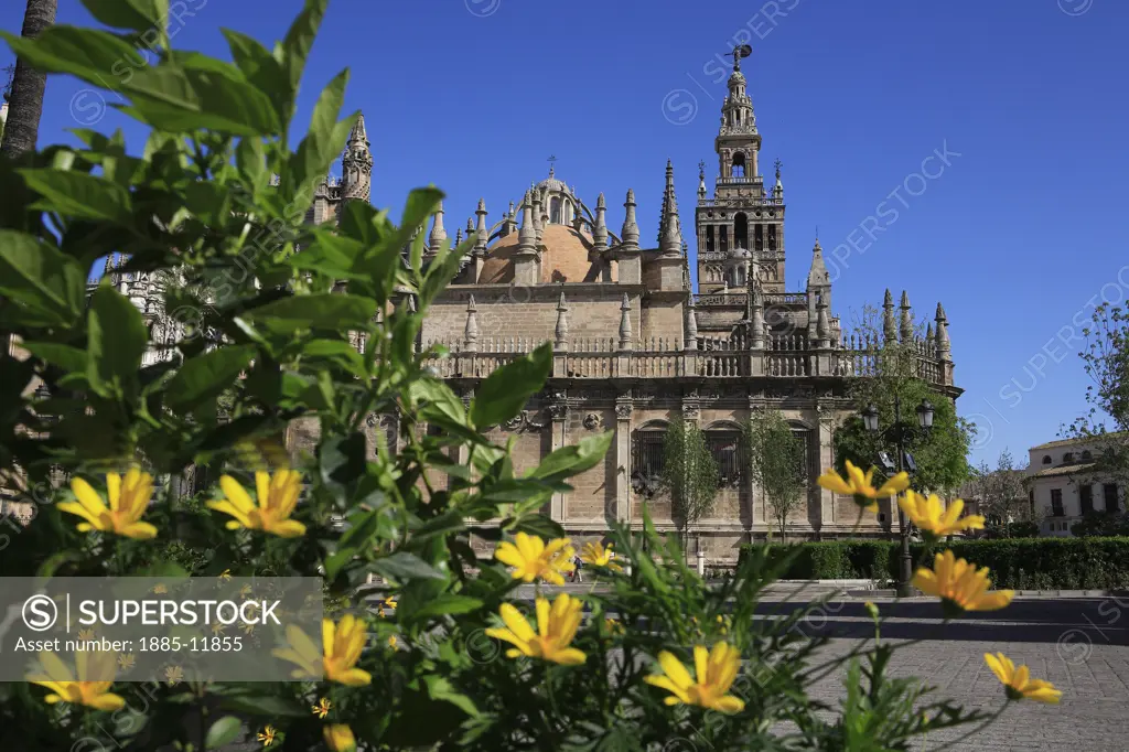 Spain, Andalucia, Seville, Cathedral and flowers