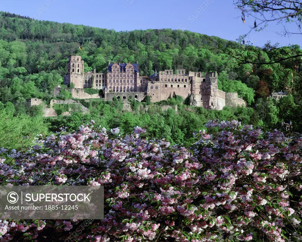 Germany, Baden Wurttemberg, Heidelberg, View of castle in spring