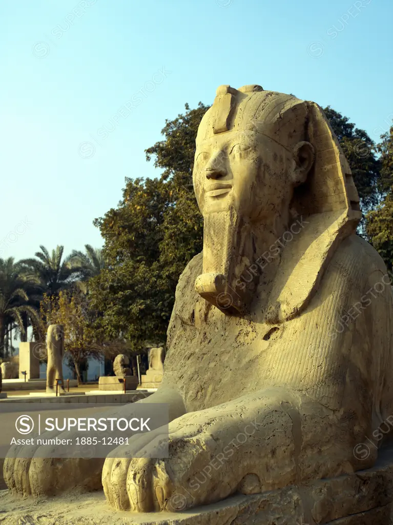 Egypt, , Memphis, Alabaster Sphinx
