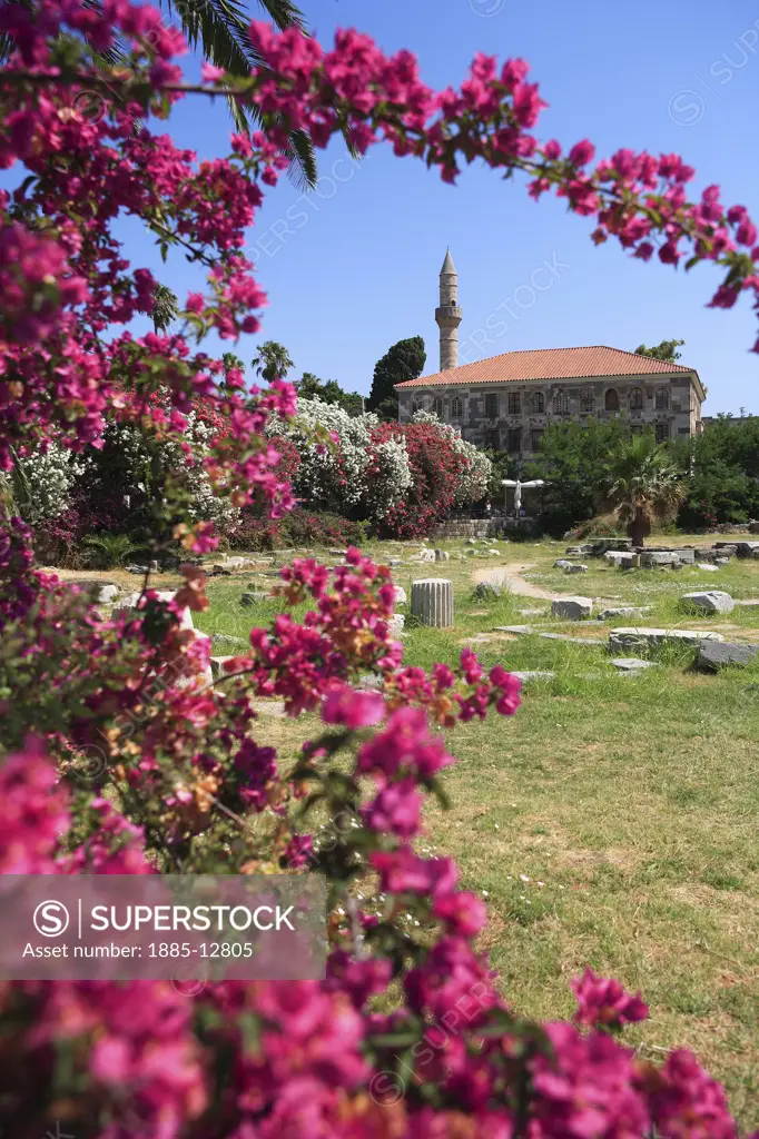 Greek Islands, Kos Island, Kos Town, Mosque at the ancient Agora framed by flowers