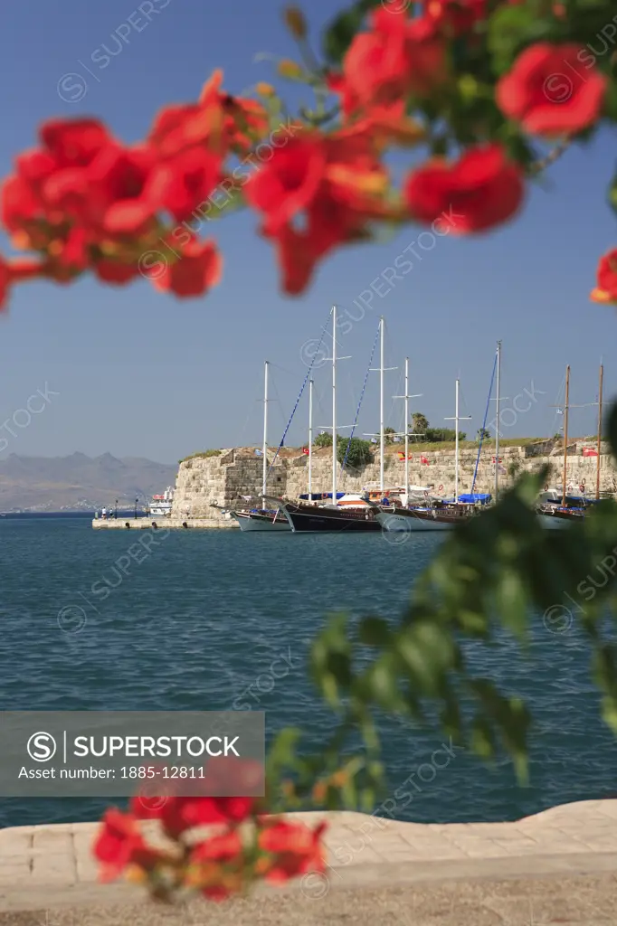 Greek Islands, Kos Island, Kos Town, View  over sea to the Castle of the Knights framed by flowers