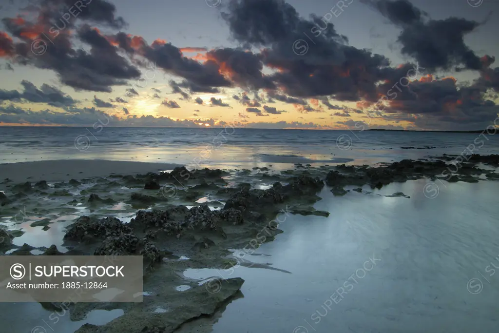 Natural World, Seascapes, , Seashore and cloudscape at sunset