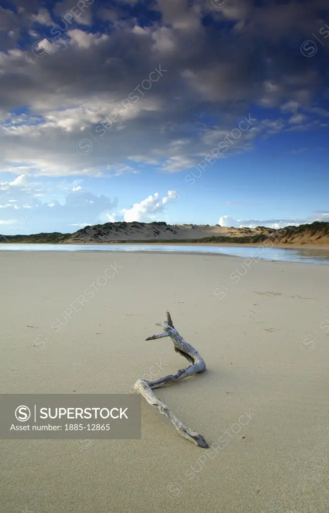 Australia, Western Australia, Coral Bay, Driftwood on beach