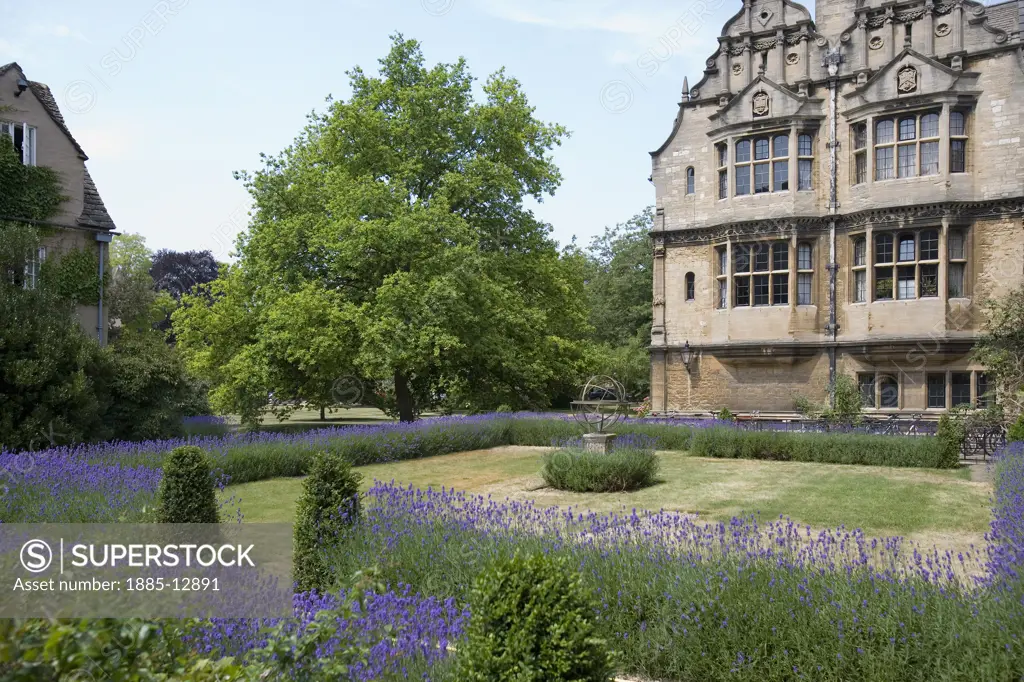UK - England, Oxfordshire, Oxford, Oxford University - Garden of Bodleian Library