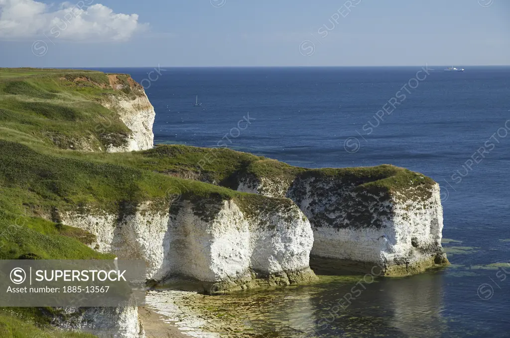 UK - England, Yorkshire, Flamborough Head, Chalk cliffs