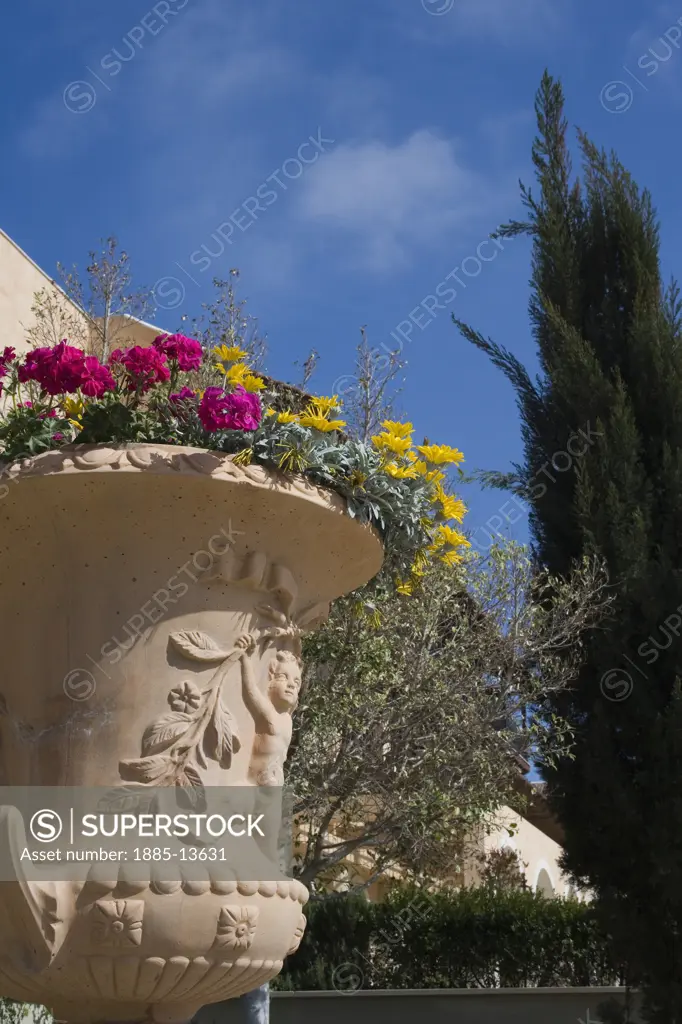 Cyprus, South, General, Close up of flowers in urn