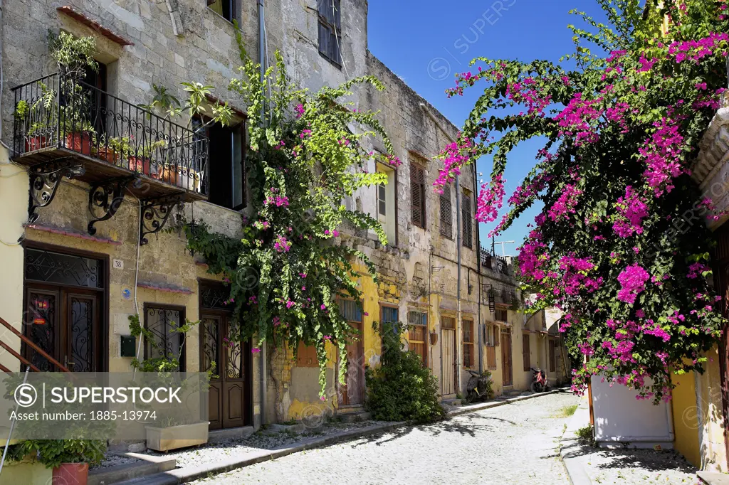 Greek Islands, Rhodes Island, Rhodes Town, Street scene in the Old Town
