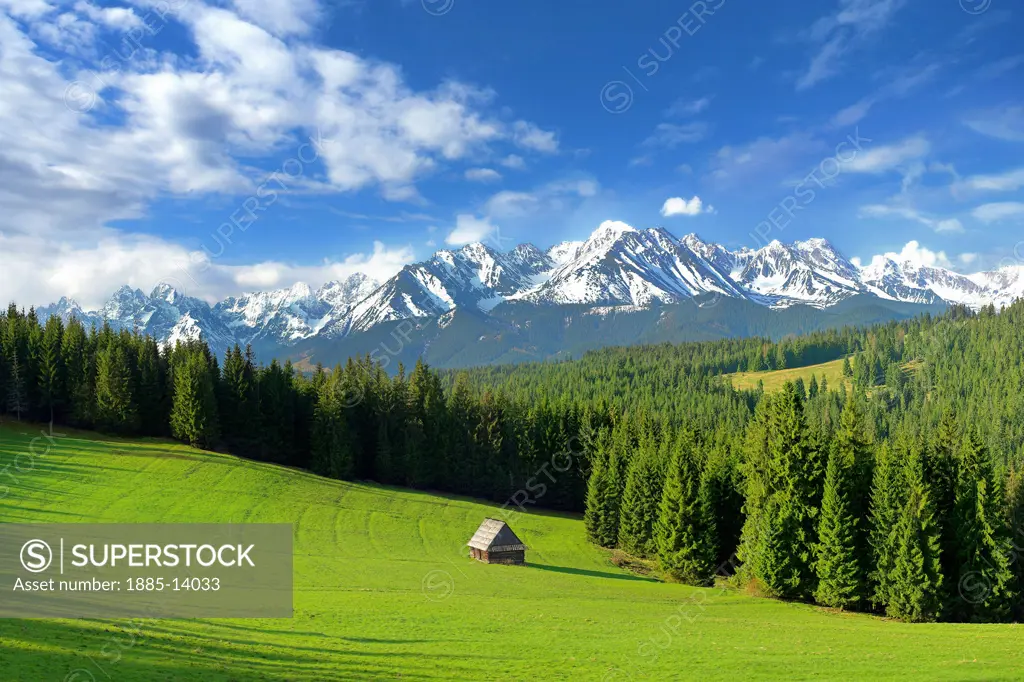 Poland, Tatra Mountains - Zakopane, View over meadow to the High Tatras