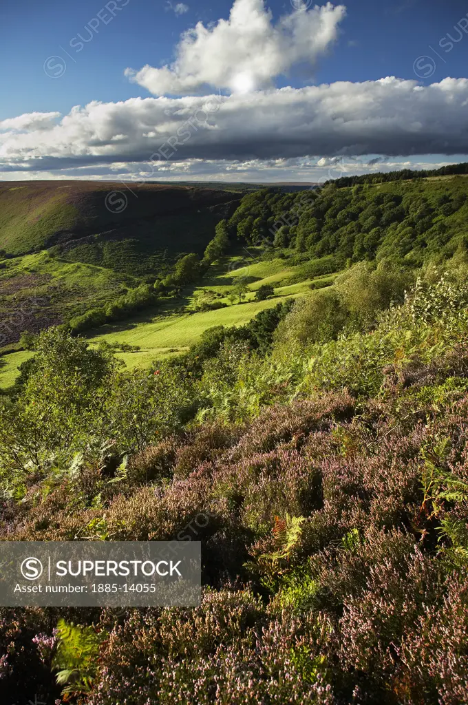 UK - England, Yorkshire, Pickering - near, View over the Hole of Horcum in the North York Moors National Park
