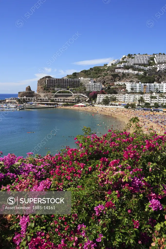 Canary Islands, Gran Canaria, Puerto Rico, View of beach over flowers