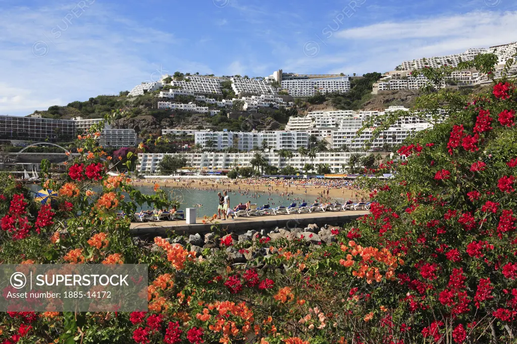 Canary Islands, Gran Canaria, Puerto Rico, View of beach and town over flowers