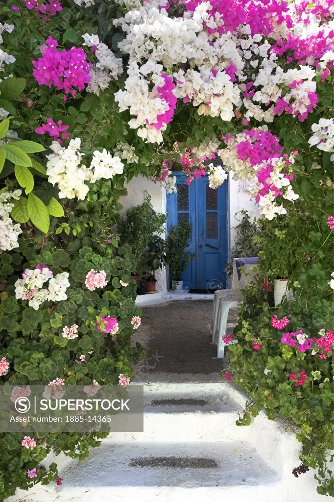 Greek Islands, Rhodes Island, Kritinia, Flowers around blue door