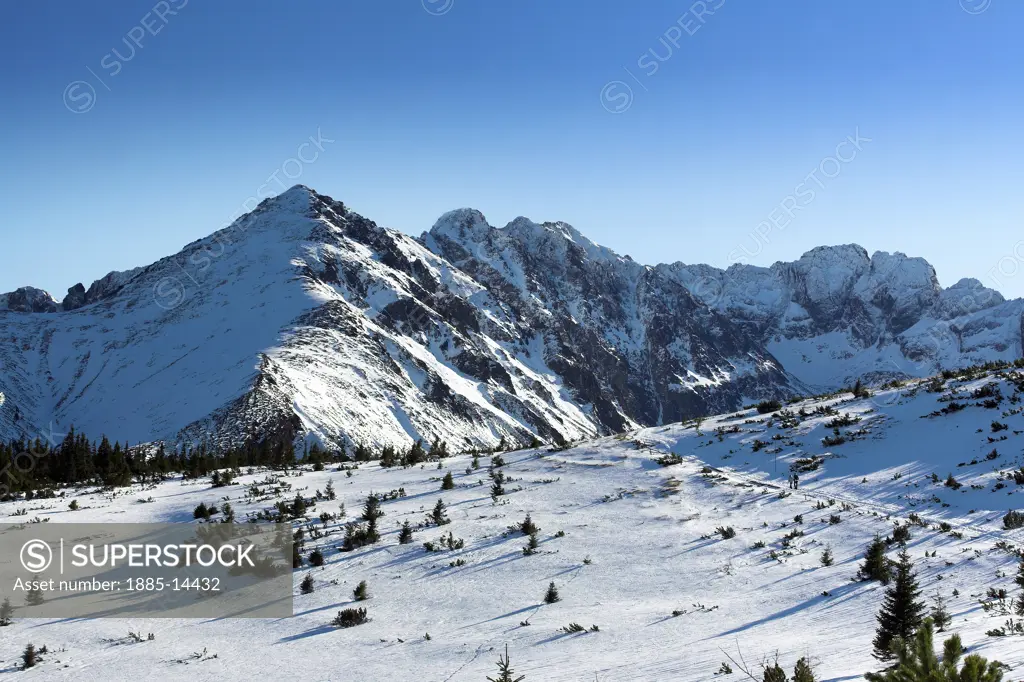 Poland, , Tatra Mountains, Gasienicowa Valley in winter