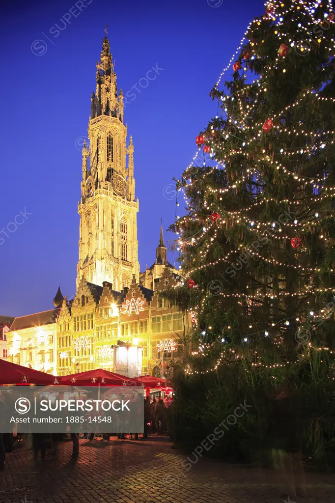 Belgium, Flanders, Antwerp, Grote Markt - cathedral and Christmas tree