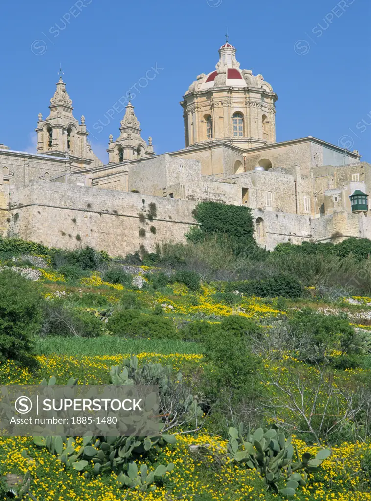 Maltese Islands, Malta, Mdina, View of walled city over wildflowers