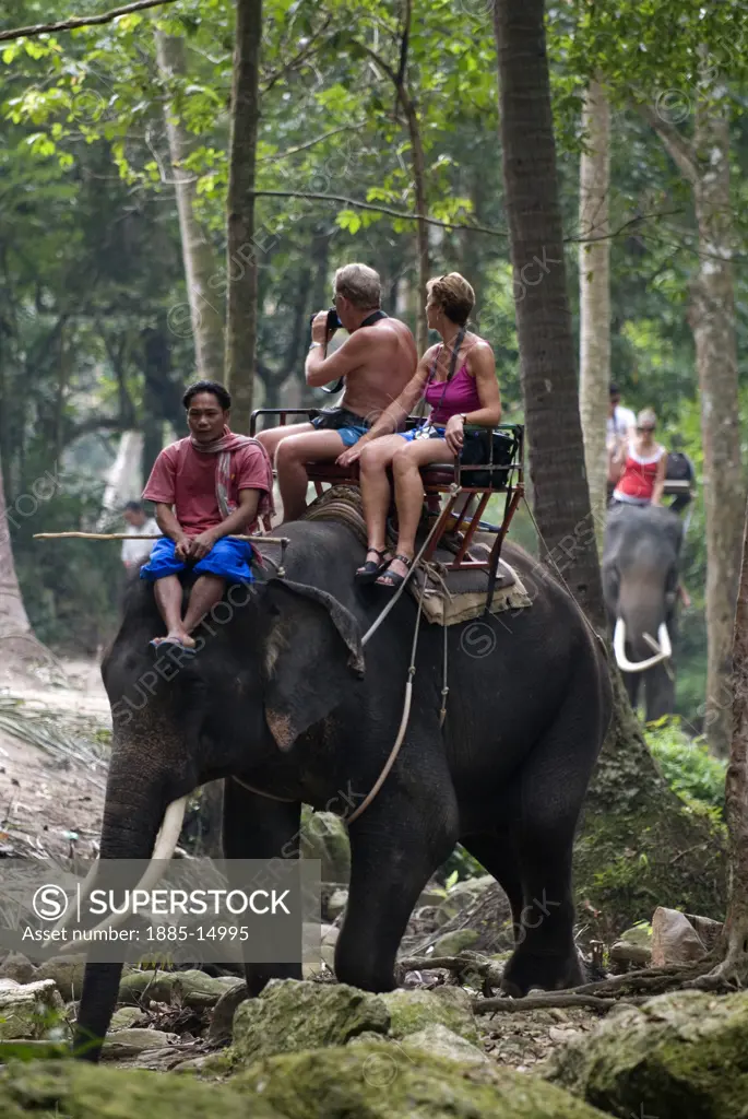 Thailand, Ko Samui Island, General, Tourists elephant trekking