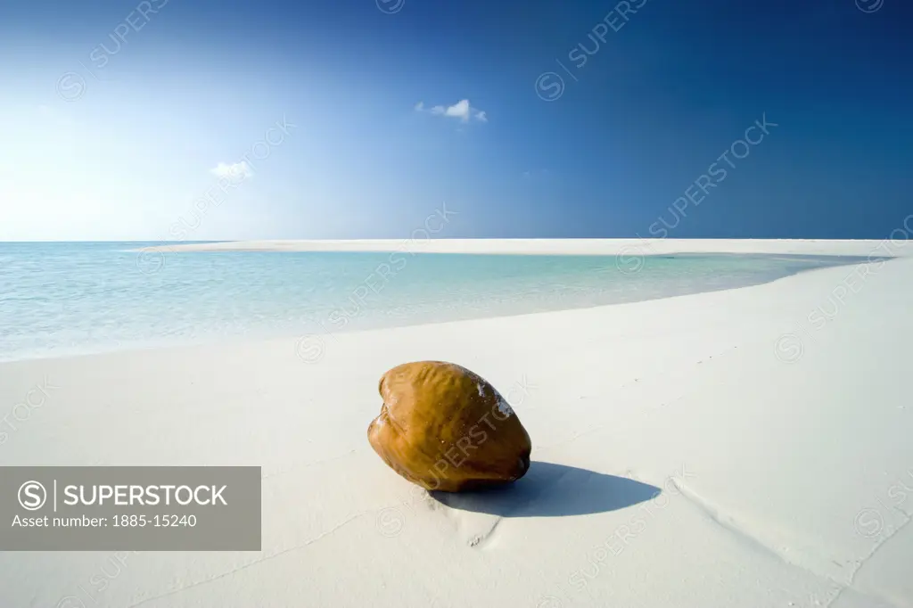 The Maldives, , General, Coconut on beach