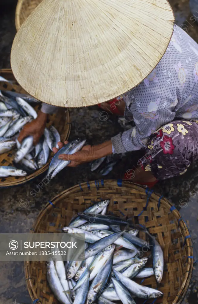 Vietnam, , Hoi An, Woman at fish market