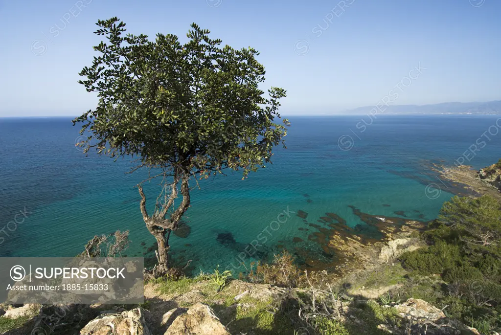Cyprus, South, Latchi - near, View along Chrysochou Bay