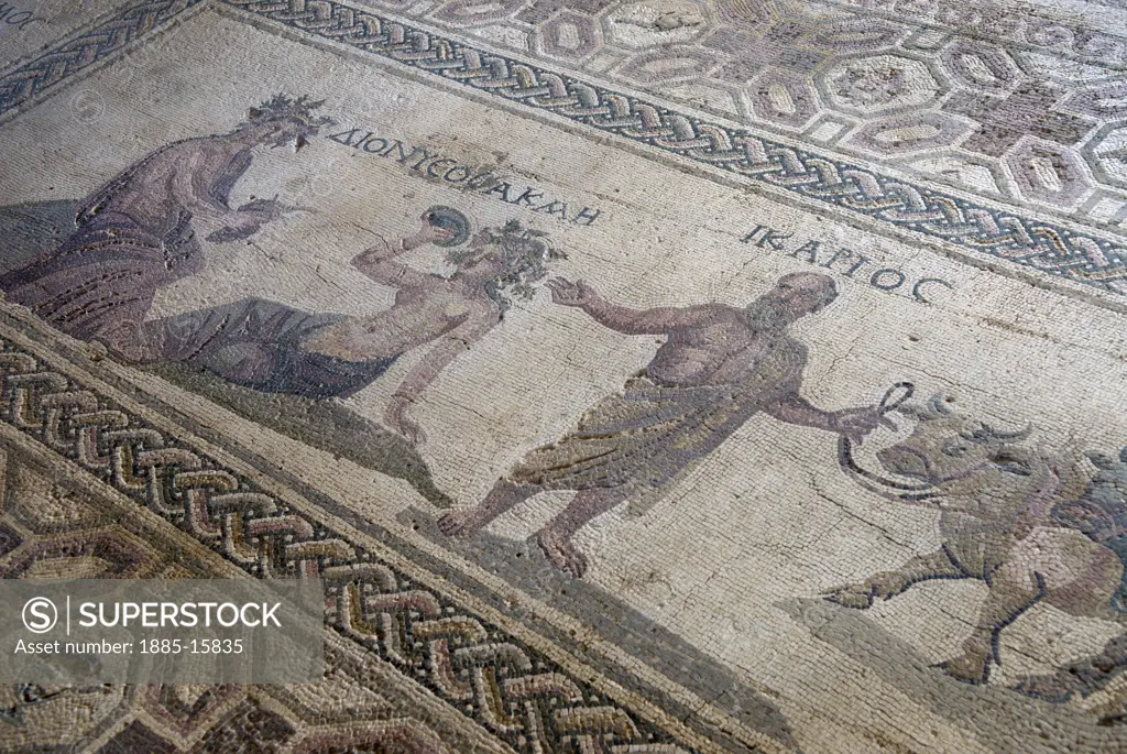 Cyprus, South, Paphos, Roman mosaics