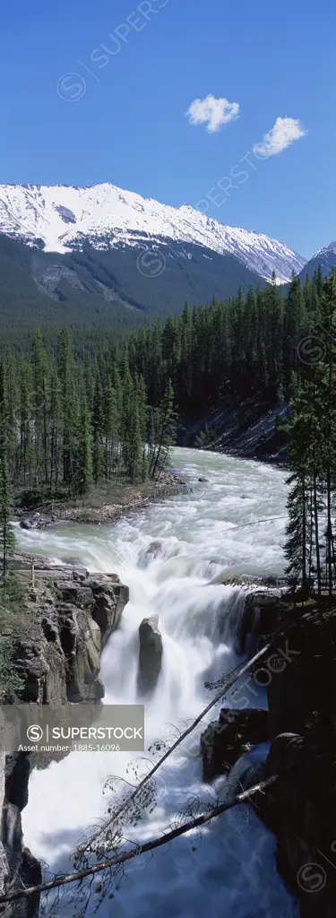 Canada, Alberta and The Rockies, Jasper National Park, Athabasca Falls