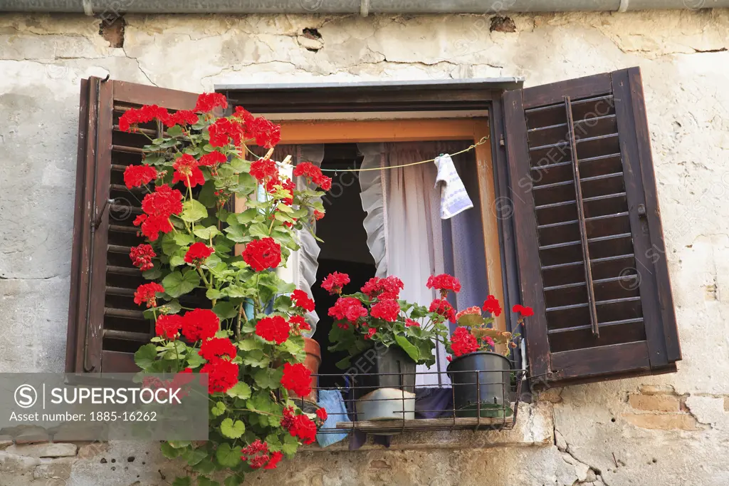 Croatia, Istria, Rovinj, Typical window display
