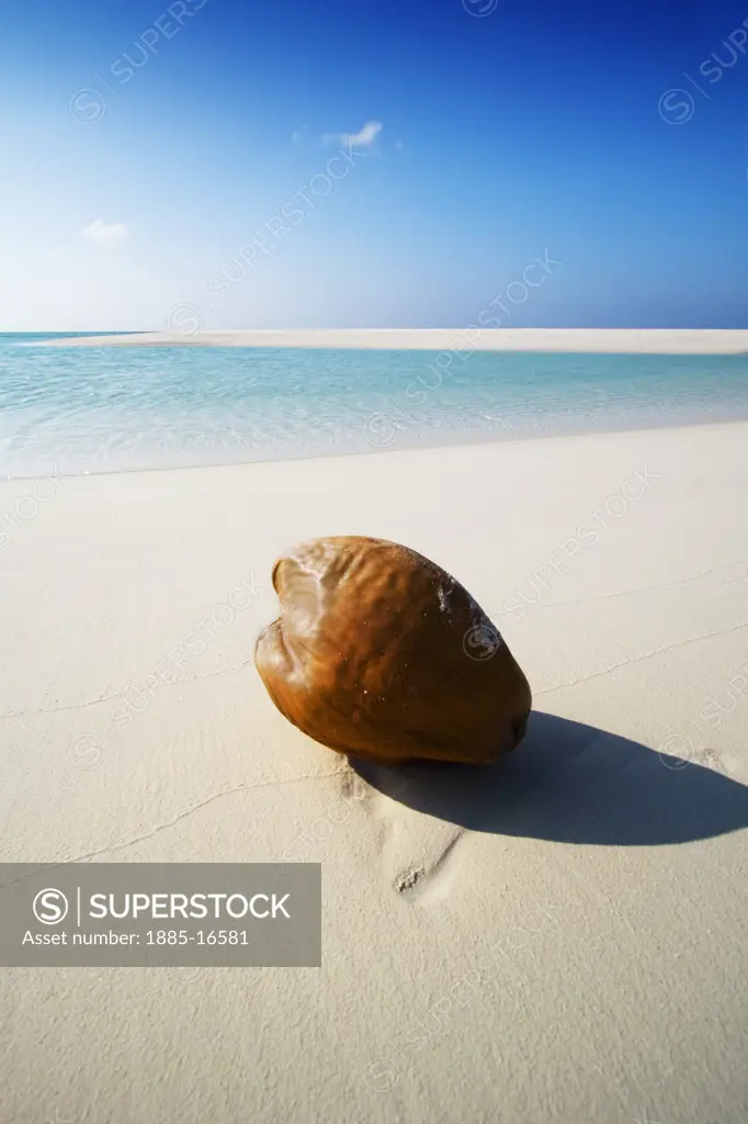 The Maldives, , General, Coconut on beach