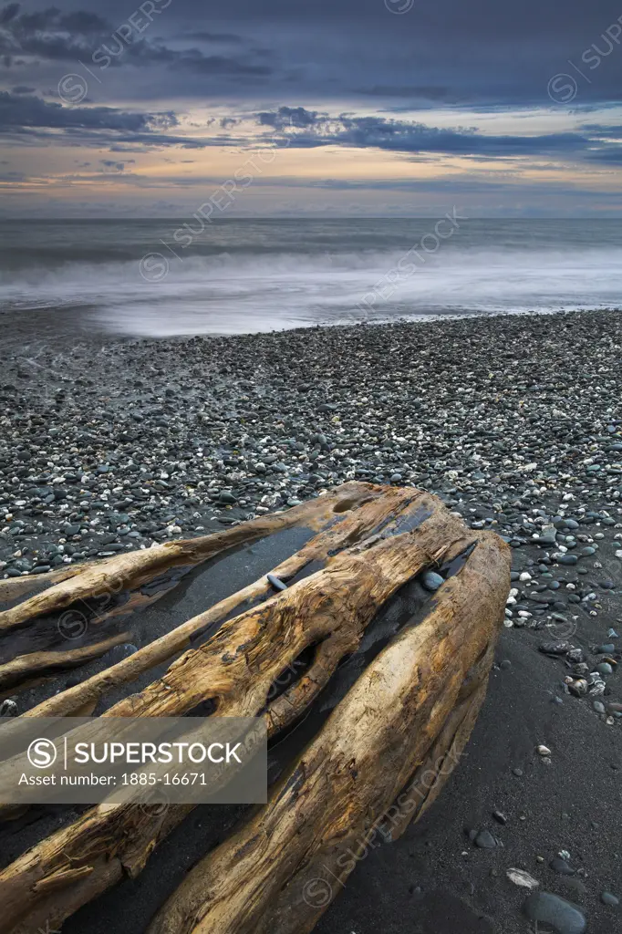 New Zealand, South Island, West Coast, Driftwood on Gillespies Beach