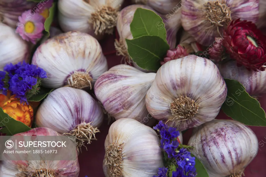 France, The Loire, Saumur, Garlic and flowers