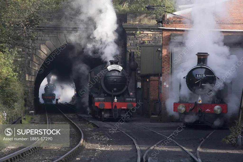 UK - England, Yorkshire, Grosmont, Steam trains on the tracks