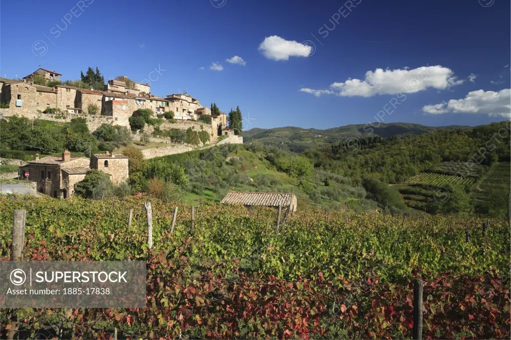 Italy, Tuscany, Montefioralle, View of vineyards and village