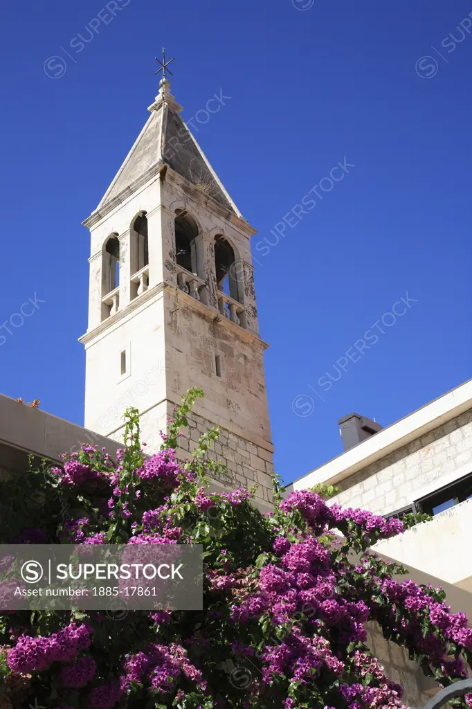 Croatia, Dalmatia, Split, Sv Duh Church and blossom